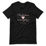 Load image into Gallery viewer, Perfection Reflection - Ladies&#39; T-Shirt
